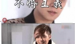 小猪爆料娱乐圈,揭秘明星幕后故事与真实生活